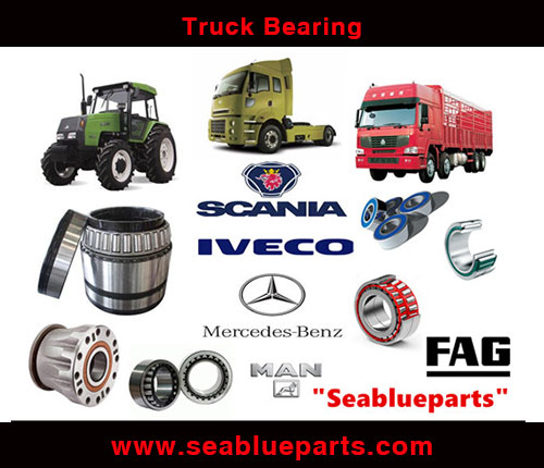 Truck Bearing