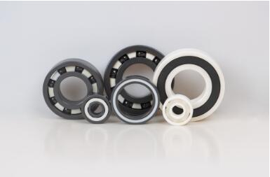 Ceramic Bearing