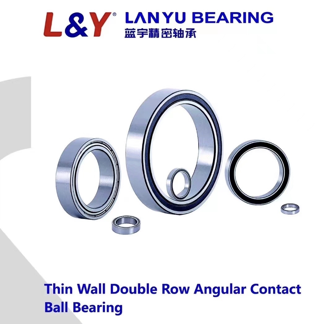 Shandong Lanyu Precision Bearing Manufacturing Co., Ltd.