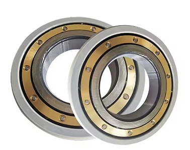 Electrically Insulated Bearings